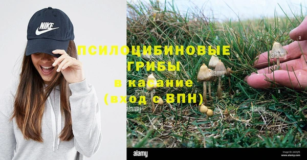 прущая мука Балабаново
