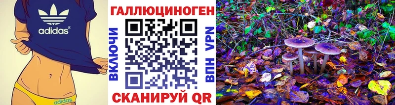 Галлюциногенные грибы MAGIC MUSHROOMS  где продают наркотики  это наркотические препараты  Кизилюрт 